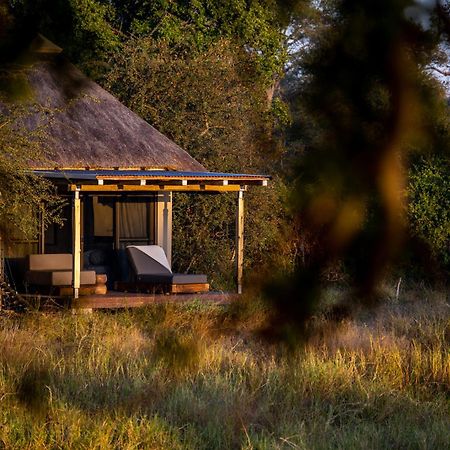 Simbavati Waterside Villa Klaserie Private Nature Reserve Bilik gambar