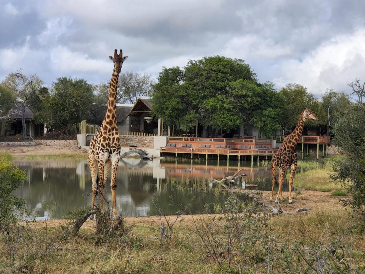 Simbavati Waterside Villa Klaserie Private Nature Reserve Luaran gambar